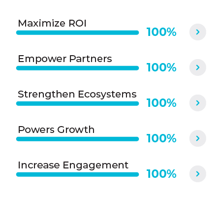 Graph Overlay - Maximize ROI 100%, Empower Partners 100%, Strengthen Ecosystems 100%, Powers Growth 100%, Increase Engagement 100%